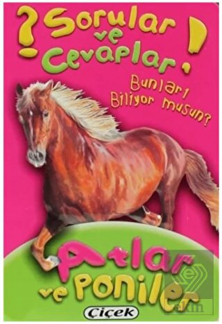 Sorular ve Cevaplar - Atlar ve Poniler