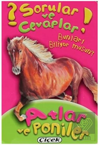 Sorular ve Cevaplar - Atlar ve Poniler