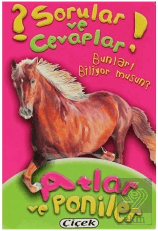 Sorular ve Cevaplar - Atlar ve Poniler