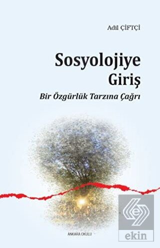 Sosyolojiye Giriş