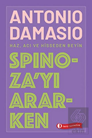 Spinoza\'yı Ararken