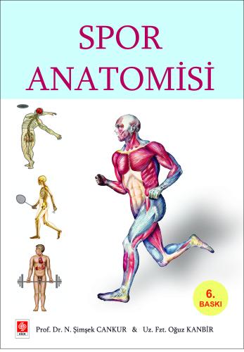 Spor Anatomisi Oğuz Kanbir