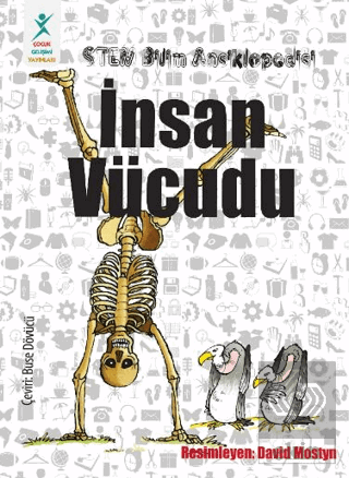 Stem Bilim Ansiklopedisi : İnsan Vücudu