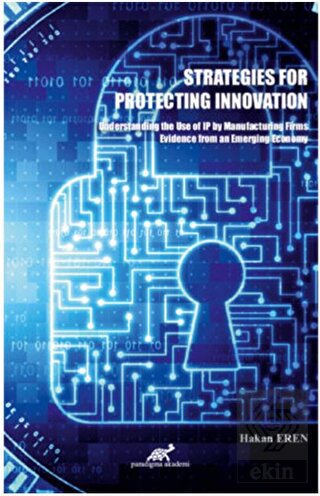 Strategies For Protecting Innovation