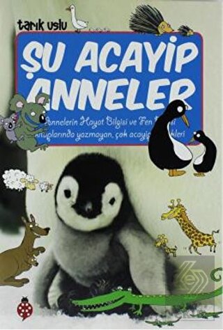 Şu Acayip Anneler