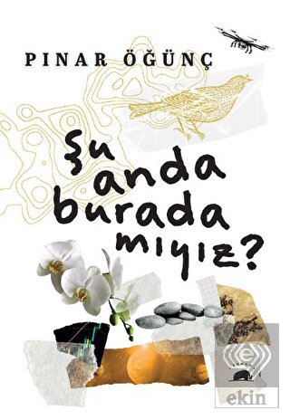 Şu Anda Burada Mıyız?