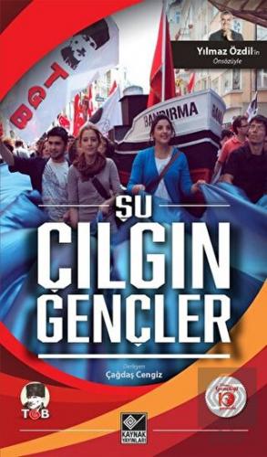 Şu Çılgın Gençler