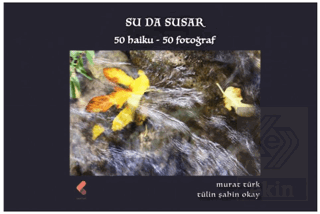 Su da Susar