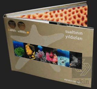 Sualtının Yıldızları