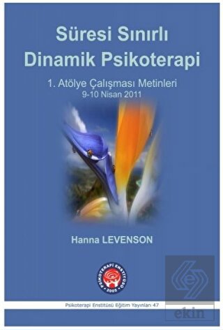 Süresi Sınırlı Dinamik Psikoterapi - 1. Atölye Çal