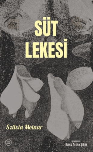 Süt Lekesi