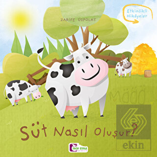 Süt Nasıl Oluşur?