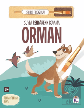 Suyla Rengarenk Boyama - Orman (Sihirli Fırçasıyla)