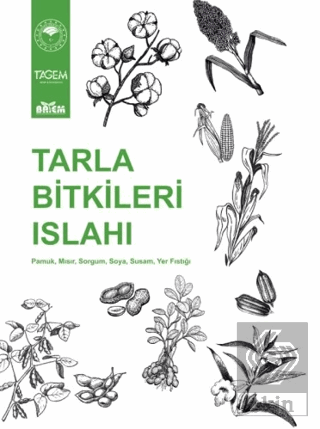 Tarla Bitkileri Islahı Kolektif Nobel Akademik Yayıncılık Satın Al - e