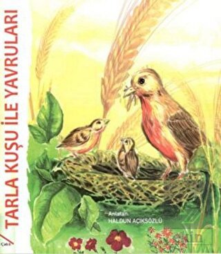 Tarla Kuşu ile Yavruları - La Fontaine Masalları 4