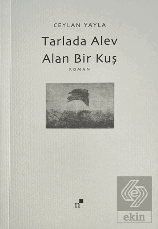 Tarlada Alev Alan Bir Kuş Ceylan Yayla Norgunk Yayıncılık Satın Al - e