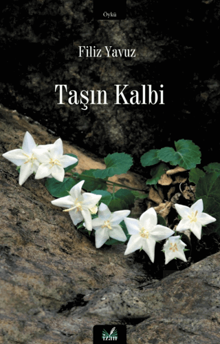 Taşın Kalbi