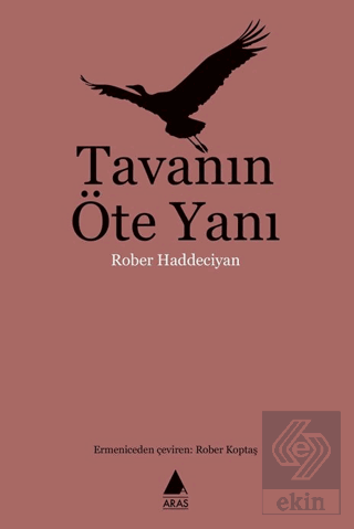 Tavanın Öte Yanı