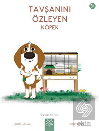 Tavşanını Özleyen Köpek