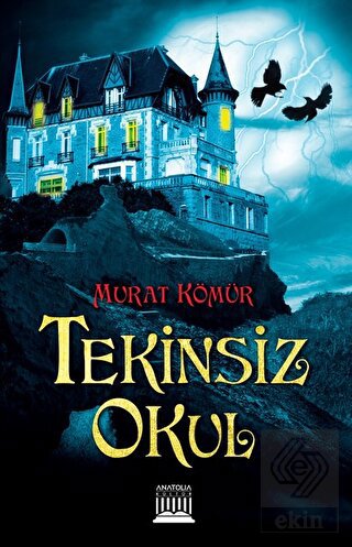 Tekinsiz Okul