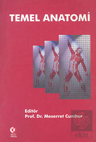 Temel Anatomi
