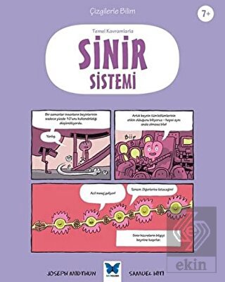 Temel Kavramlarla Sinir Sistemi