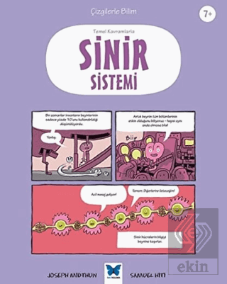 Temel Kavramlarla Sinir Sistemi