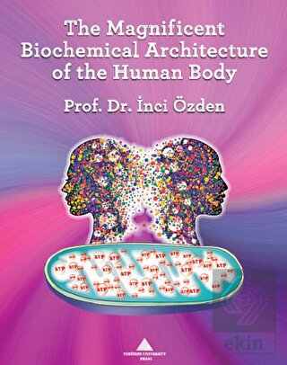 The Magnificent Biochemical Architecture of the Hu