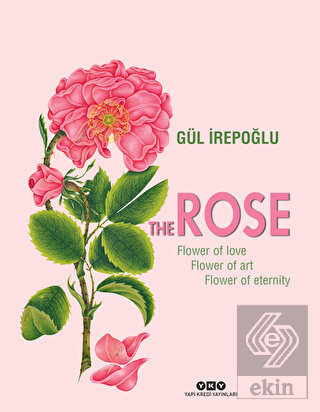 The Rose : Flower of Love, Flower of Art, Flower o