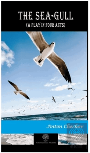 The Sea-Gull