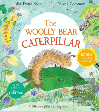The Woolly Bear Caterpillar