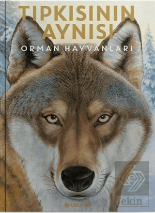 Tıpkısının Aynısı