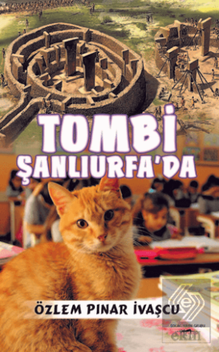 Tombi Şanlıurfa\'da