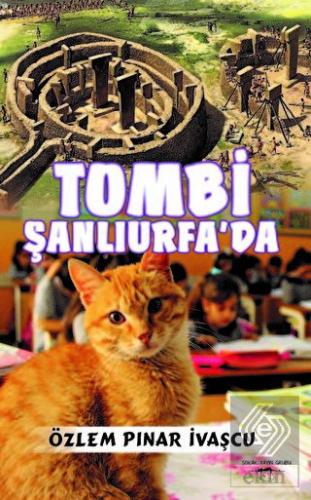 Tombi Şanlıurfa\'da