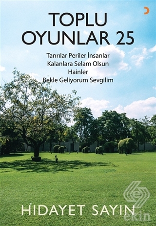 Toplu Oyunlar 25