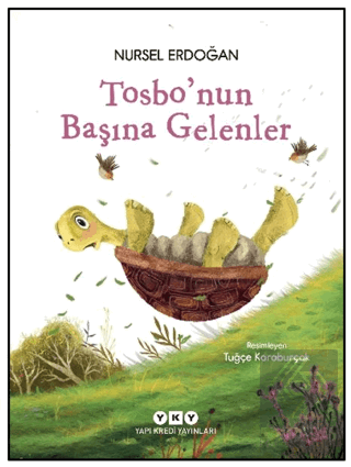 Tosbo'nun Başına Gelenler