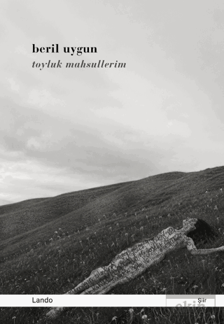 Toyluk Mahsullerim Beril Uygun Lando Yayınları Satın Al - ekinkitap.co