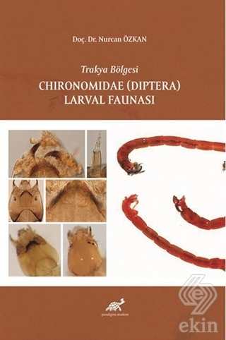 Trakya Bölgesi Chironomidae (Diptera) Larval Fauna