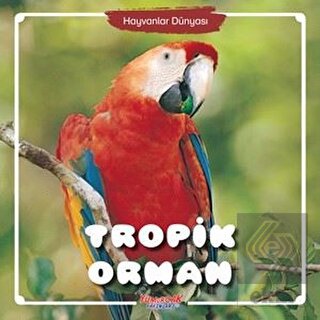 Tropik Orman - Hayvanlar Dünyası