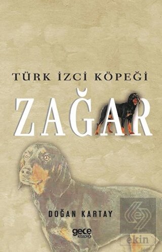 Türk İzci Köpeği Zağar