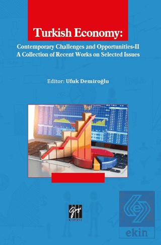 Turkish Economy: Contemporary Challenges and Oppor