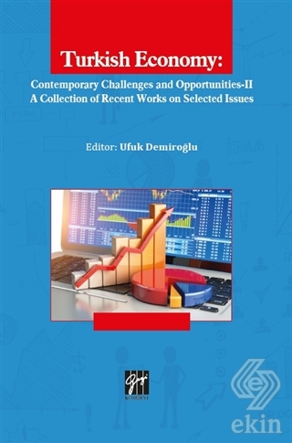 Turkish Economy: Contemporary Challenges and Oppor