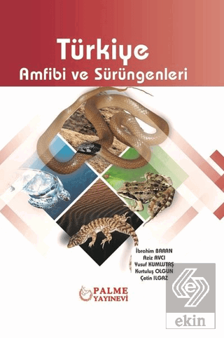 Türkiye Amfibi ve Sürüngenleri
