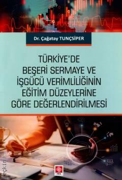 Türkiye'de Beşeri Sermaye ve İşgücü Verimliliğinin Eğitim Düzeylerine 