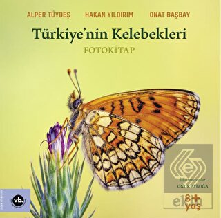 Türkiye'nin Kelebekleri