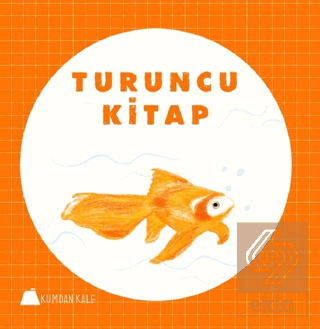 Turuncu Kitap