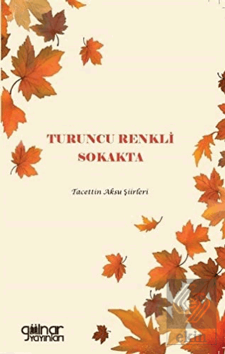 Turuncu Renkli Sokakta