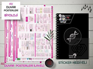 TYT Kareli Biyoloji Okul Defteri Konu Anlatımlı 4 