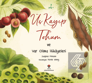 Üç Kayıp Tohum ve Var Olma Hikayeleri