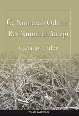 Üç Numaralı Odanın Beş Numaralı Yatağı
